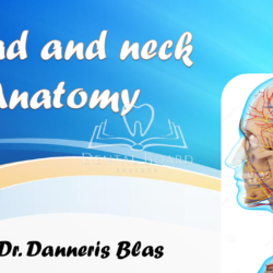 Producto: Módulo "Anatomy"